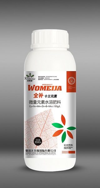 十三元素